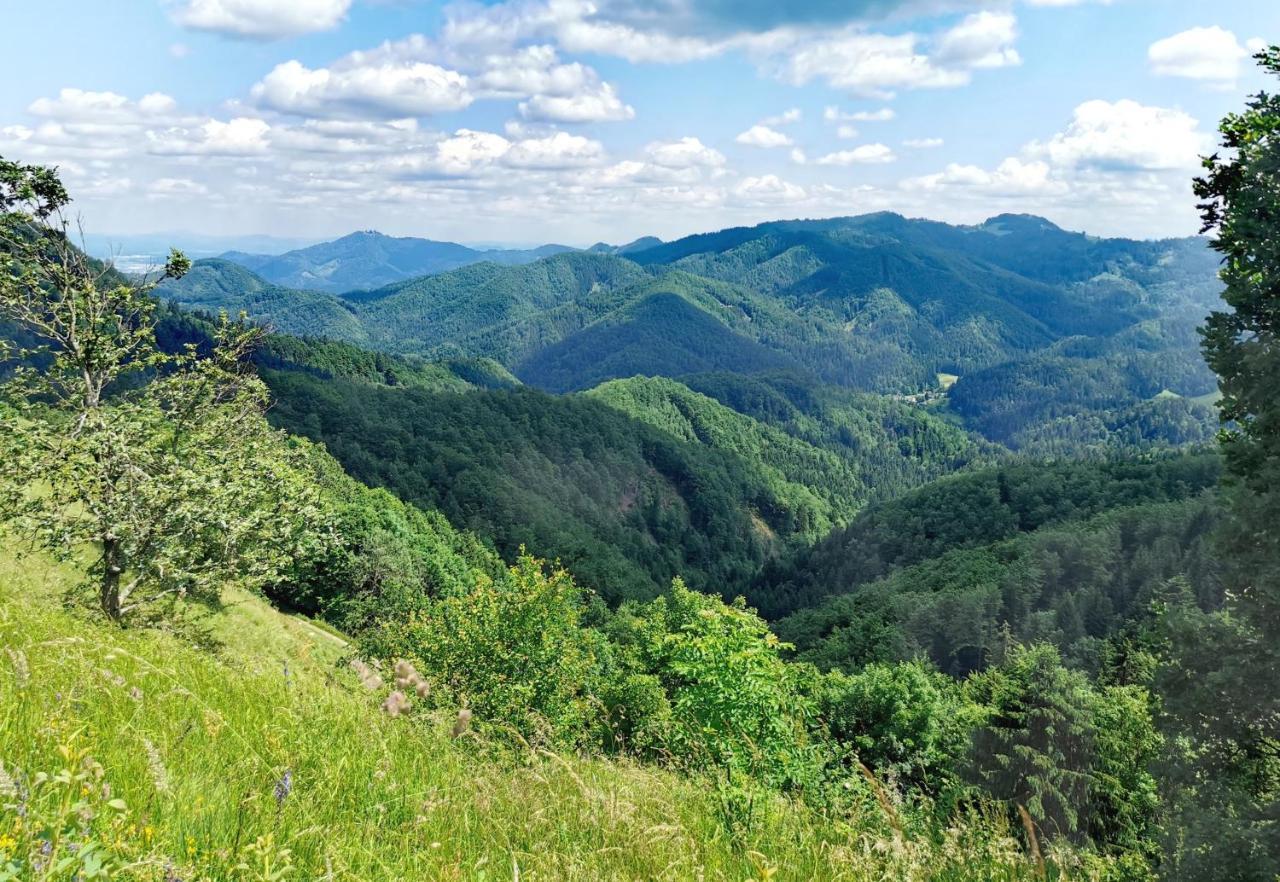 Bajta Kroparica Buitenkant foto
